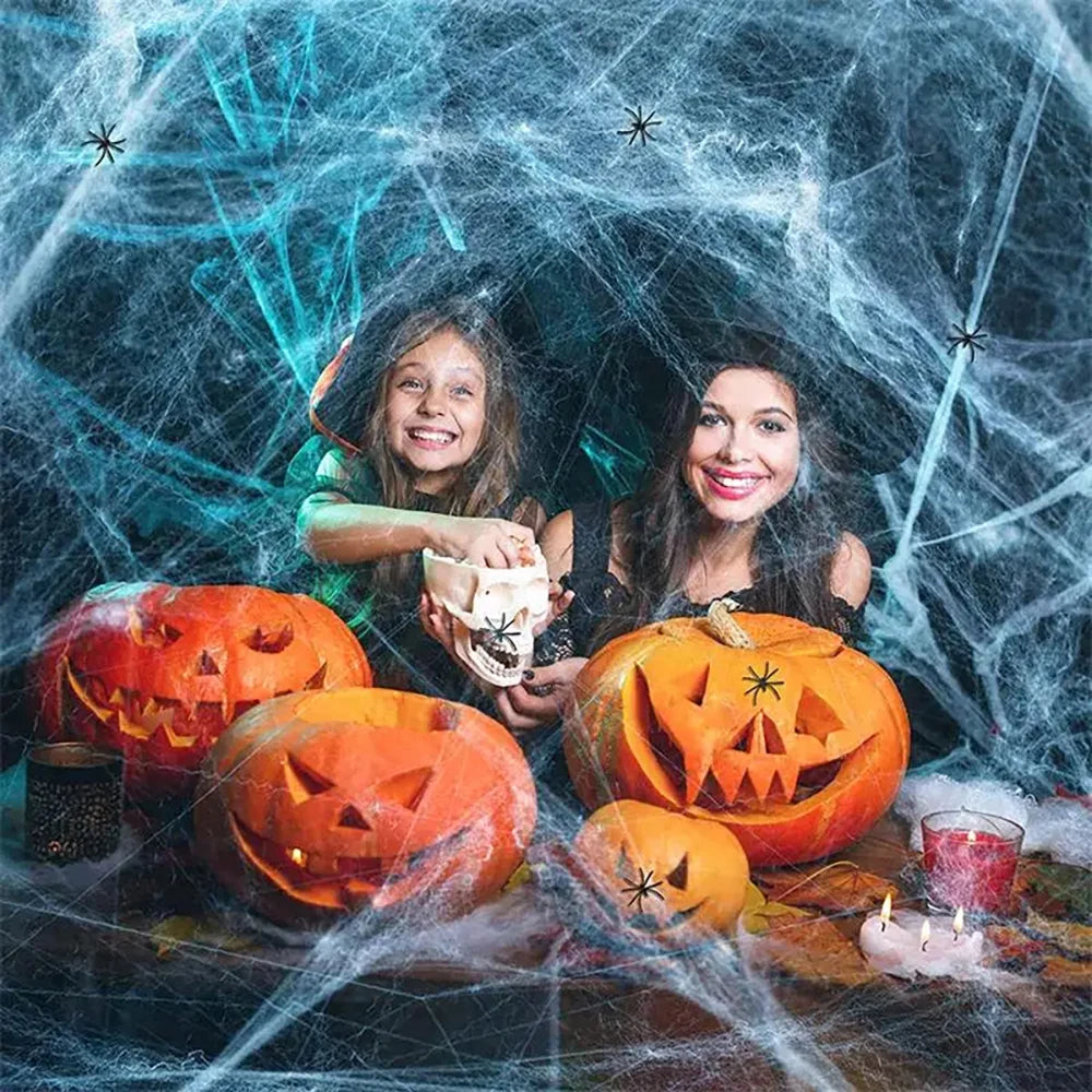 Stretchy Halloween Spider Web Decor